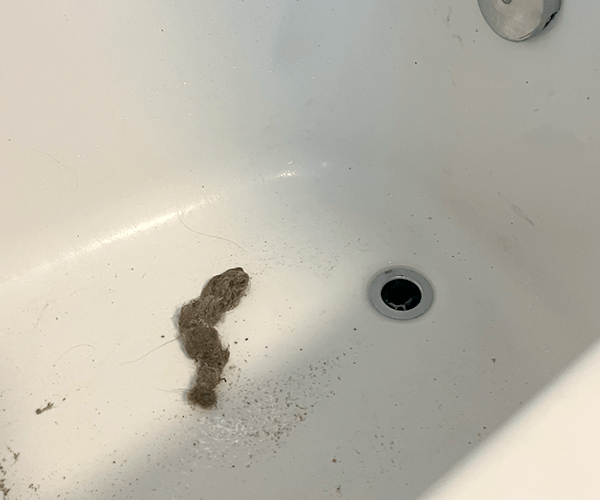 Clogged Shower and Bathtub Drain