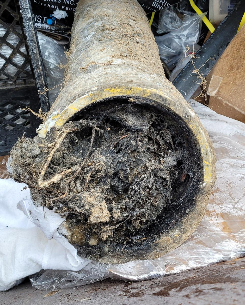 Professional sewer line repair in Toronto
