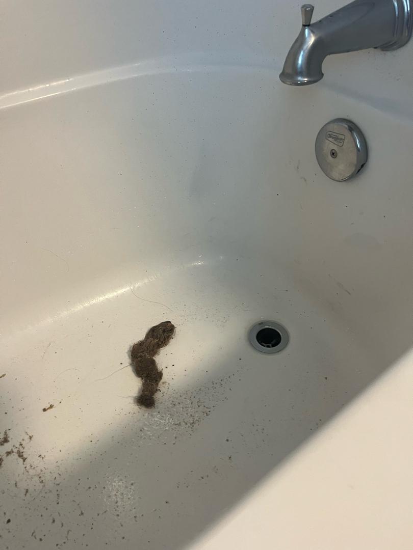 Professional clog repair in Toronto