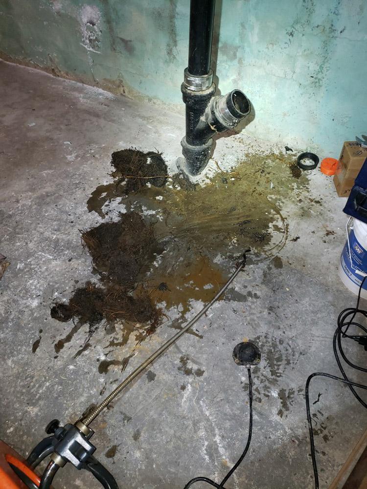 Sewer backup service in Downtown Ottawa