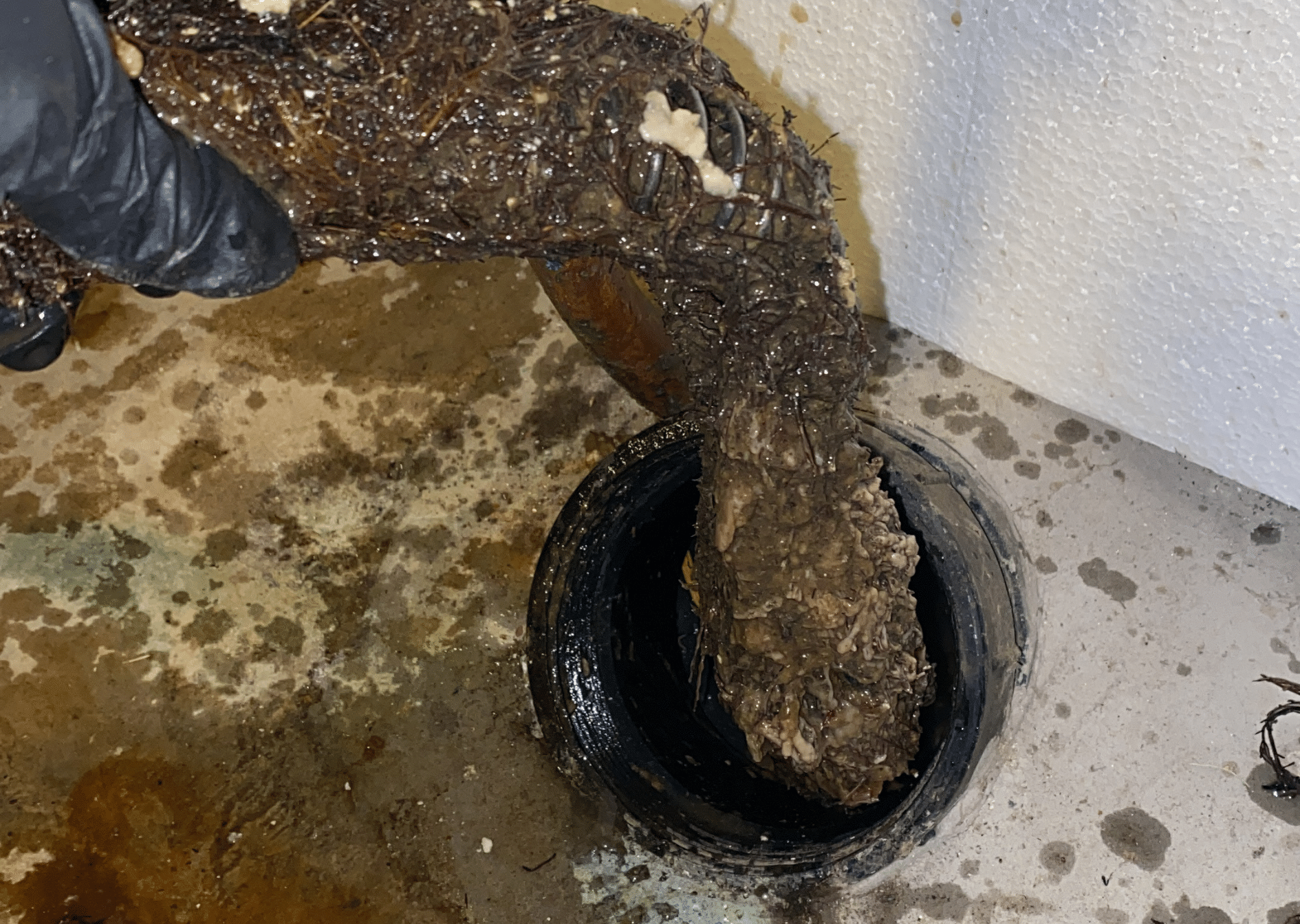 Clogged main drain and sewer line repair services in Kanata