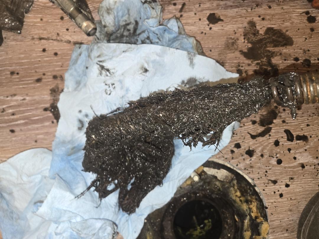 Tree root removal and sewer drain cleaning service in Kanata